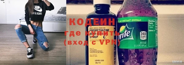 прущие грибы Абинск