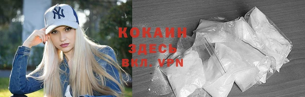 прущие грибы Абинск