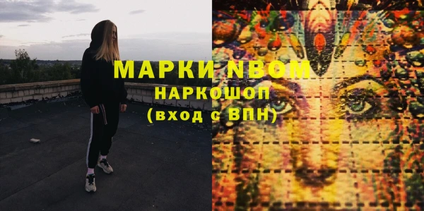 прущие грибы Абинск