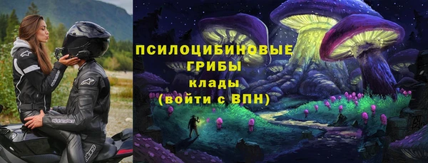 Альфа ПВП Абаза