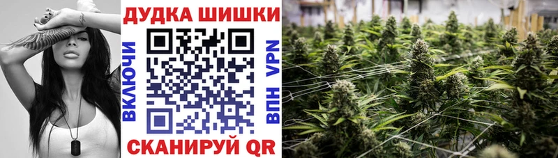 KRAKEN онион  наркошоп  Галич  Марихуана семена 